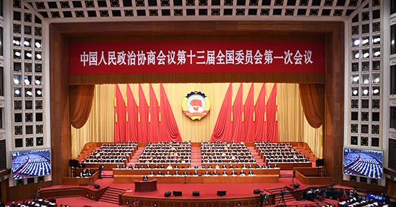 全國政協(xié)委員詹純新：企業(yè)走出去要“做主、做深、做透”